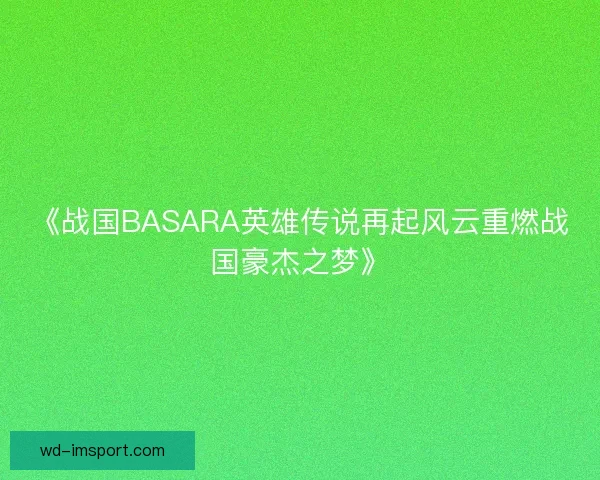 《战国BASARA英雄传说再起风云重燃战国豪杰之梦》